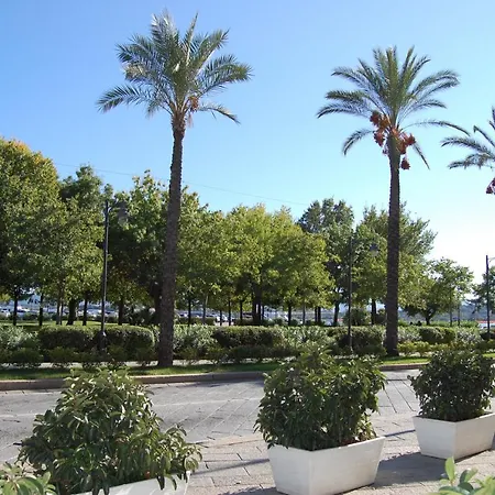 Center * Όλμπια