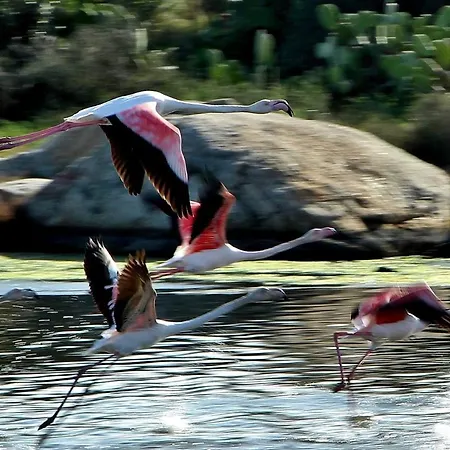 Διαμέρισμα Center